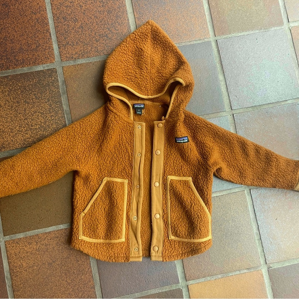 Patagonia Retro Pile Fleece Hooded Jacket